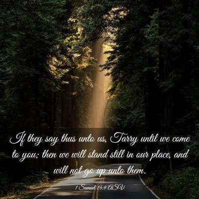 Picture 03 - 1 Samuel 14:9 ASV - If they say thus unto us, Tarry until we come to - Bible Verse Picture