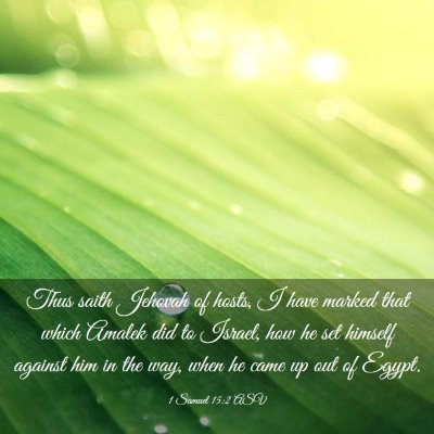 Picture 03 - 1 Samuel 15:2 ASV - Thus saith Jehovah of hosts, I have marked that - Bible Verse Picture