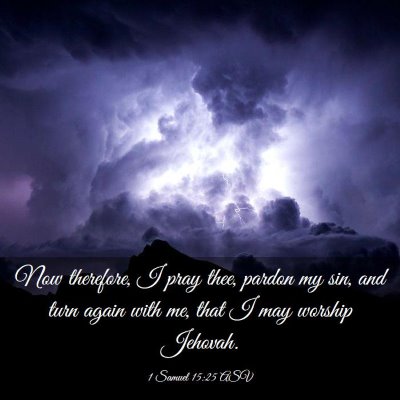 Picture 03 - 1 Samuel 15:25 ASV - Now therefore, I pray thee, pardon my sin, and - Bible Verse Picture
