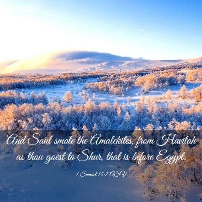 Picture 03 - 1 Samuel 15:7 ASV - And Saul smote the Amalekites, from Havilah as - Bible Verse Picture