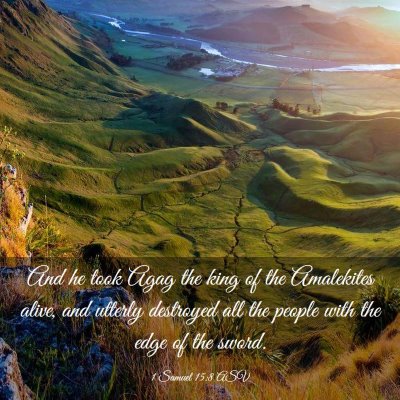 Picture 03 - 1 Samuel 15:8 ASV - And he took Agag the king of the Amalekites - Bible Verse Picture