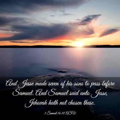 Picture 03 - 1 Samuel 16:10 ASV - And Jesse made seven of his sons to pass before - Bible Verse Picture