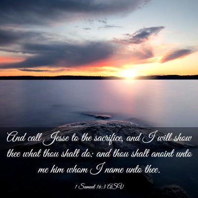 Picture 03 - 1 Samuel 16:3 ASV - And call Jesse to the sacrifice, and I will show - Bible Verse Picture