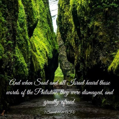Picture 03 - 1 Samuel 17:11 ASV - And when Saul and all Israel heard those words of - Bible Verse Picture