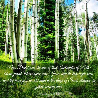 Picture 03 - 1 Samuel 17:12 ASV - Now David was the son of that Ephrathite of - Bible Verse Picture