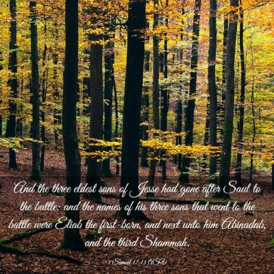 Picture 03 - 1 Samuel 17:13 ASV - And the three eldest sons of Jesse had gone after - Bible Verse Picture