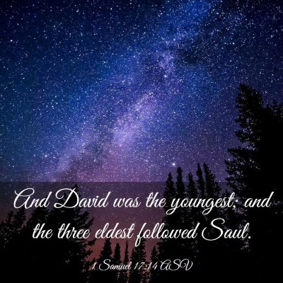 Picture 03 - 1 Samuel 17:14 ASV - And David was the youngest; and the three eldest - Bible Verse Picture