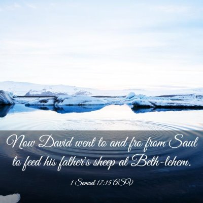 Picture 03 - 1 Samuel 17:15 ASV - Now David went to and fro from Saul to feed his - Bible Verse Picture
