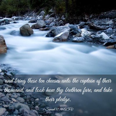 Picture 03 - 1 Samuel 17:18 ASV - and bring these ten cheeses unto the captain of - Bible Verse Picture
