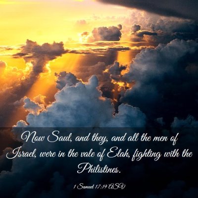Picture 03 - 1 Samuel 17:19 ASV - Now Saul, and they, and all the men of Israel, - Bible Verse Picture