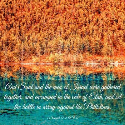 Picture 03 - 1 Samuel 17:2 ASV - And Saul and the men of Israel were gathered - Bible Verse Picture