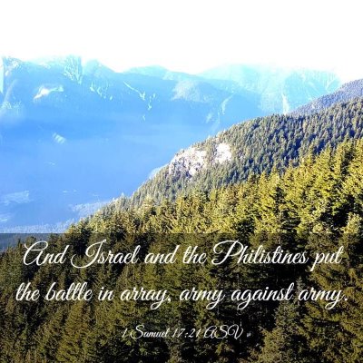 Picture 03 - 1 Samuel 17:21 ASV - And Israel and the Philistines put the battle in - Bible Verse Picture