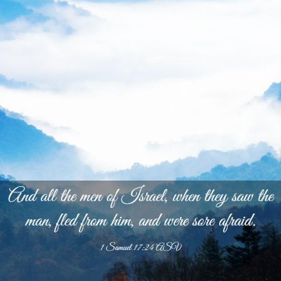 Picture 03 - 1 Samuel 17:24 ASV - And all the men of Israel, when they saw the man, - Bible Verse Picture