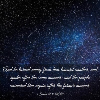 Picture 03 - 1 Samuel 17:30 ASV - And he turned away from him toward another, and - Bible Verse Picture