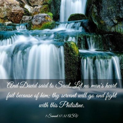 Picture 03 - 1 Samuel 17:32 ASV - And David said to Saul, Let no man's heart fail - Bible Verse Picture