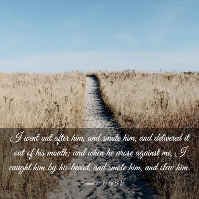 Picture 03 - 1 Samuel 17:35 ASV - I went out after him, and smote him, and - Bible Verse Picture