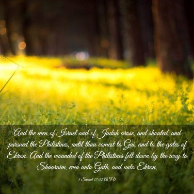 Picture 03 - 1 Samuel 17:52 ASV - And the men of Israel and of Judah arose, and - Bible Verse Picture