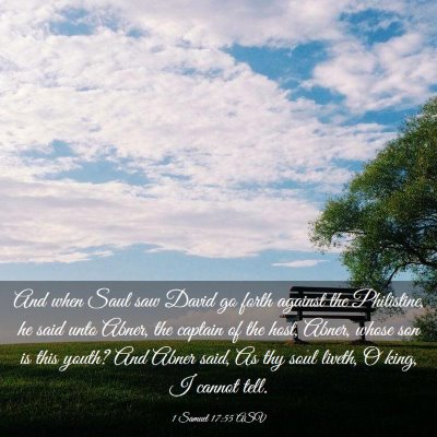 Picture 03 - 1 Samuel 17:55 ASV - And when Saul saw David go forth against the - Bible Verse Picture