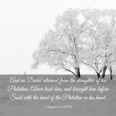 Picture 03 - 1 Samuel 17:57 ASV - And as David returned from the slaughter of the - Bible Verse Picture