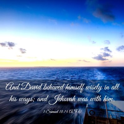 Picture 03 - 1 Samuel 18:14 ASV - And David behaved himself wisely in all his ways; - Bible Verse Picture