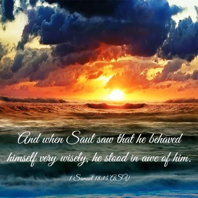 Picture 03 - 1 Samuel 18:15 ASV - And when Saul saw that he behaved himself very - Bible Verse Picture