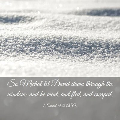 Picture 03 - 1 Samuel 19:12 ASV - So Michal let David down through the window: and - Bible Verse Picture