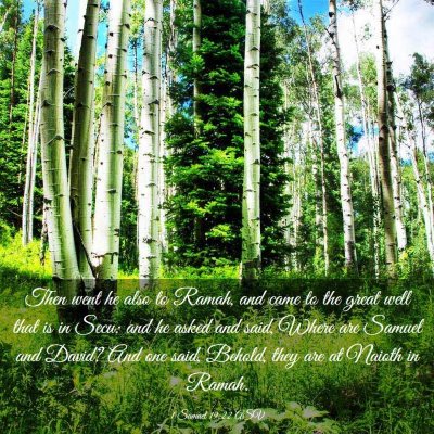 Picture 03 - 1 Samuel 19:22 ASV - Then went he also to Ramah, and came to the great - Bible Verse Picture