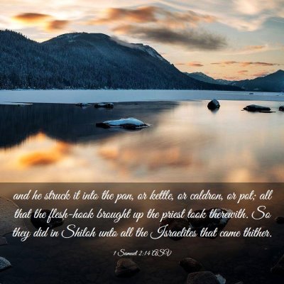 Picture 03 - 1 Samuel 2:14 ASV - and he struck it into the pan, or kettle, or - Bible Verse Picture