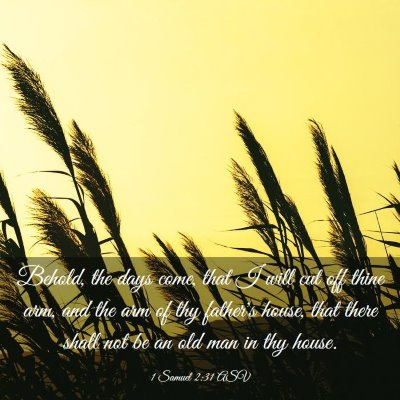 Picture 03 - 1 Samuel 2:31 ASV - Behold, the days come, that I will cut off thine - Bible Verse Picture