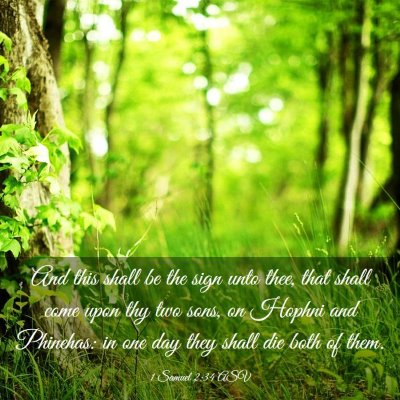 Picture 03 - 1 Samuel 2:34 ASV - And this shall be the sign unto thee, that shall - Bible Verse Picture