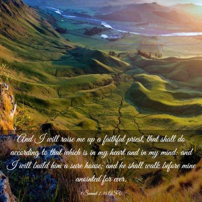 Picture 03 - 1 Samuel 2:35 ASV - And I will raise me up a faithful priest, that - Bible Verse Picture