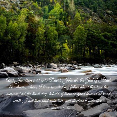 Picture 03 - 1 Samuel 20:12 ASV - And Jonathan said unto David, Jehovah, the God of - Bible Verse Picture