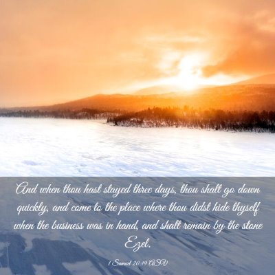 Picture 03 - 1 Samuel 20:19 ASV - And when thou hast stayed three days, thou shalt - Bible Verse Picture