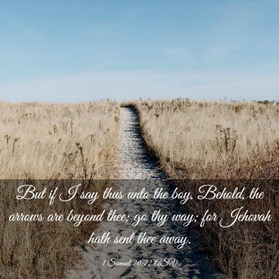 Picture 03 - 1 Samuel 20:22 ASV - But if I say thus unto the boy, Behold, the - Bible Verse Picture