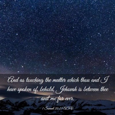 Picture 03 - 1 Samuel 20:23 ASV - And as touching the matter which thou and I have - Bible Verse Picture