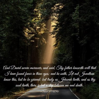 Picture 03 - 1 Samuel 20:3 ASV - And David sware moreover, and said, Thy father - Bible Verse Picture