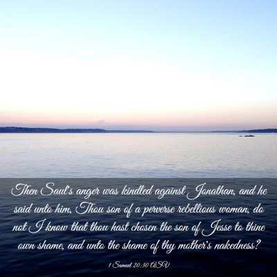 Picture 03 - 1 Samuel 20:30 ASV - Then Saul's anger was kindled against Jonathan, - Bible Verse Picture