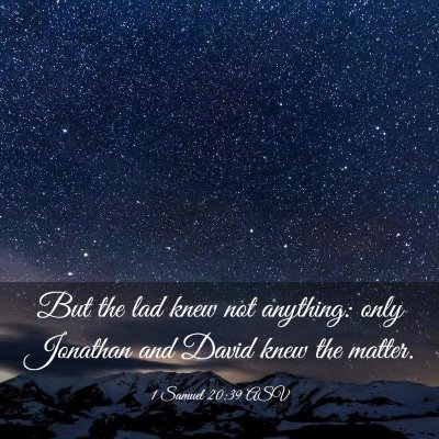Picture 03 - 1 Samuel 20:39 ASV - But the lad knew not anything: only Jonathan and - Bible Verse Picture