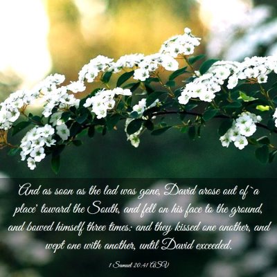 Picture 03 - 1 Samuel 20:41 ASV - And as soon as the lad was gone, David arose out - Bible Verse Picture