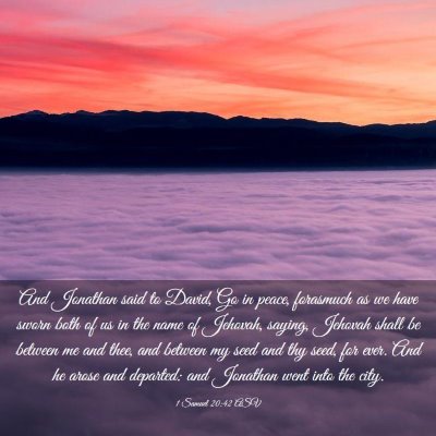 Picture 03 - 1 Samuel 20:42 ASV - And Jonathan said to David, Go in peace, - Bible Verse Picture
