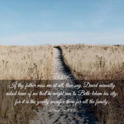 Picture 03 - 1 Samuel 20:6 ASV - If thy father miss me at all, then say, David - Bible Verse Picture