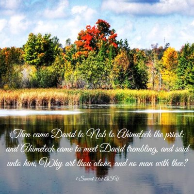Picture 03 - 1 Samuel 21:1 ASV - Then came David to Nob to Ahimelech the priest: - Bible Verse Picture