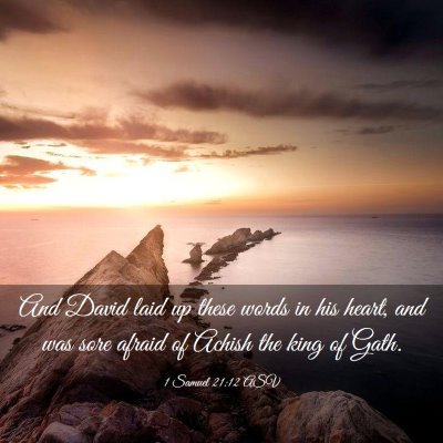 Picture 03 - 1 Samuel 21:12 ASV - And David laid up these words in his heart, and - Bible Verse Picture