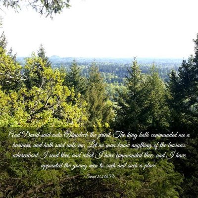 Picture 03 - 1 Samuel 21:2 ASV - And David said unto Ahimelech the priest, The - Bible Verse Picture