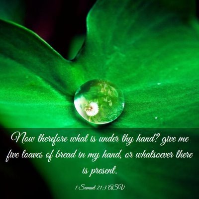 Picture 03 - 1 Samuel 21:3 ASV - Now therefore what is under thy hand? give me - Bible Verse Picture