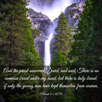 Picture 03 - 1 Samuel 21:4 ASV - And the priest answered David, and said, There is - Bible Verse Picture