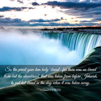 Picture 03 - 1 Samuel 21:6 ASV - So the priest gave him holy `bread'; for there - Bible Verse Picture