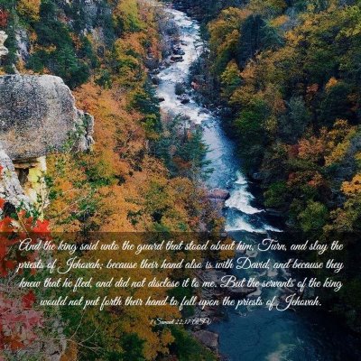 Picture 03 - 1 Samuel 22:17 ASV - And the king said unto the guard that stood about - Bible Verse Picture