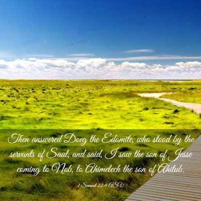 Picture 03 - 1 Samuel 22:9 ASV - Then answered Doeg the Edomite, who stood by the - Bible Verse Picture