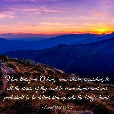 Picture 03 - 1 Samuel 23:20 ASV - Now therefore, O king, come down, according to - Bible Verse Picture
